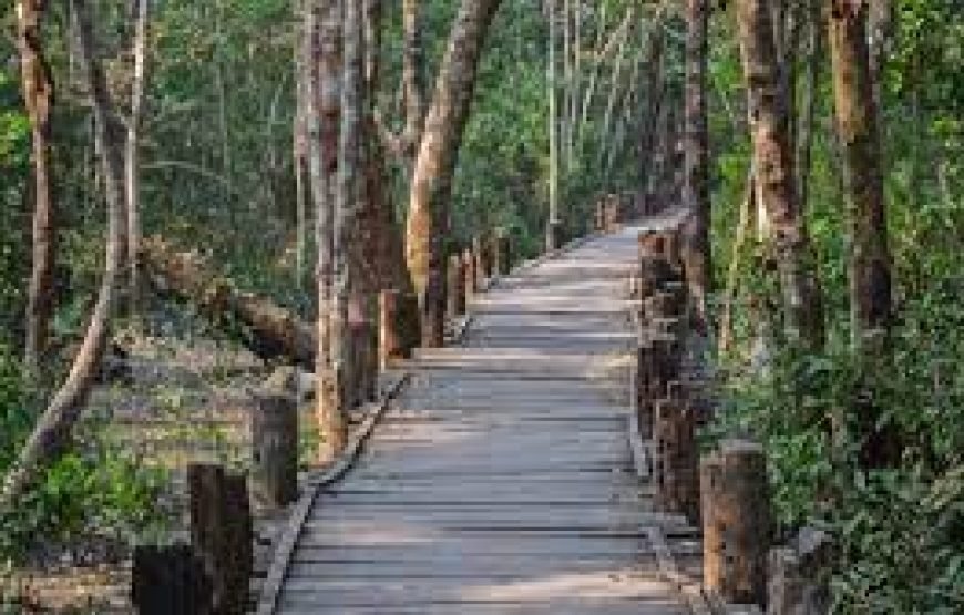 🐅 Sundarban 2-Days & 1-Night Tour Package 🐅