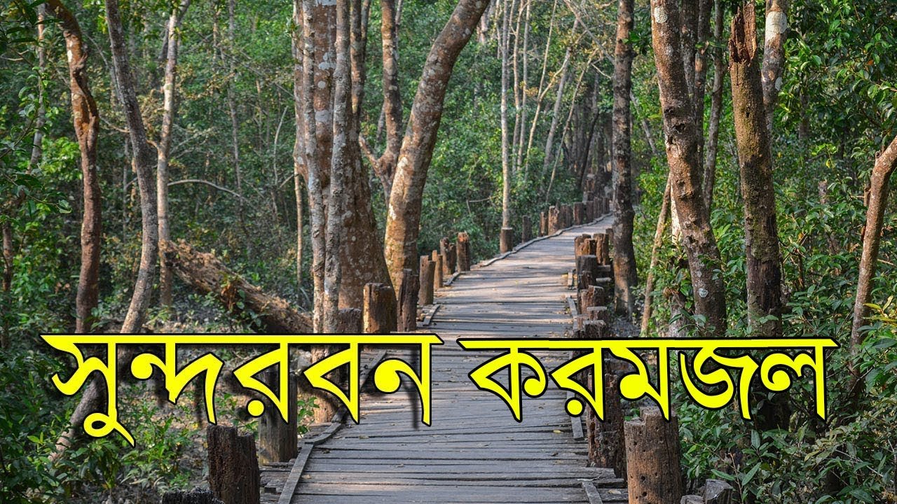 sundarbantours.com.bd