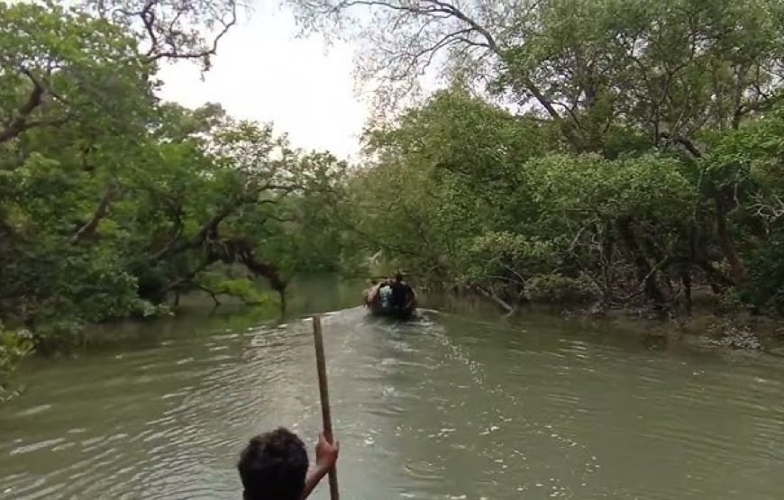 🐅 Sundarban 2-Days & 1-Night Tour Package 🐅